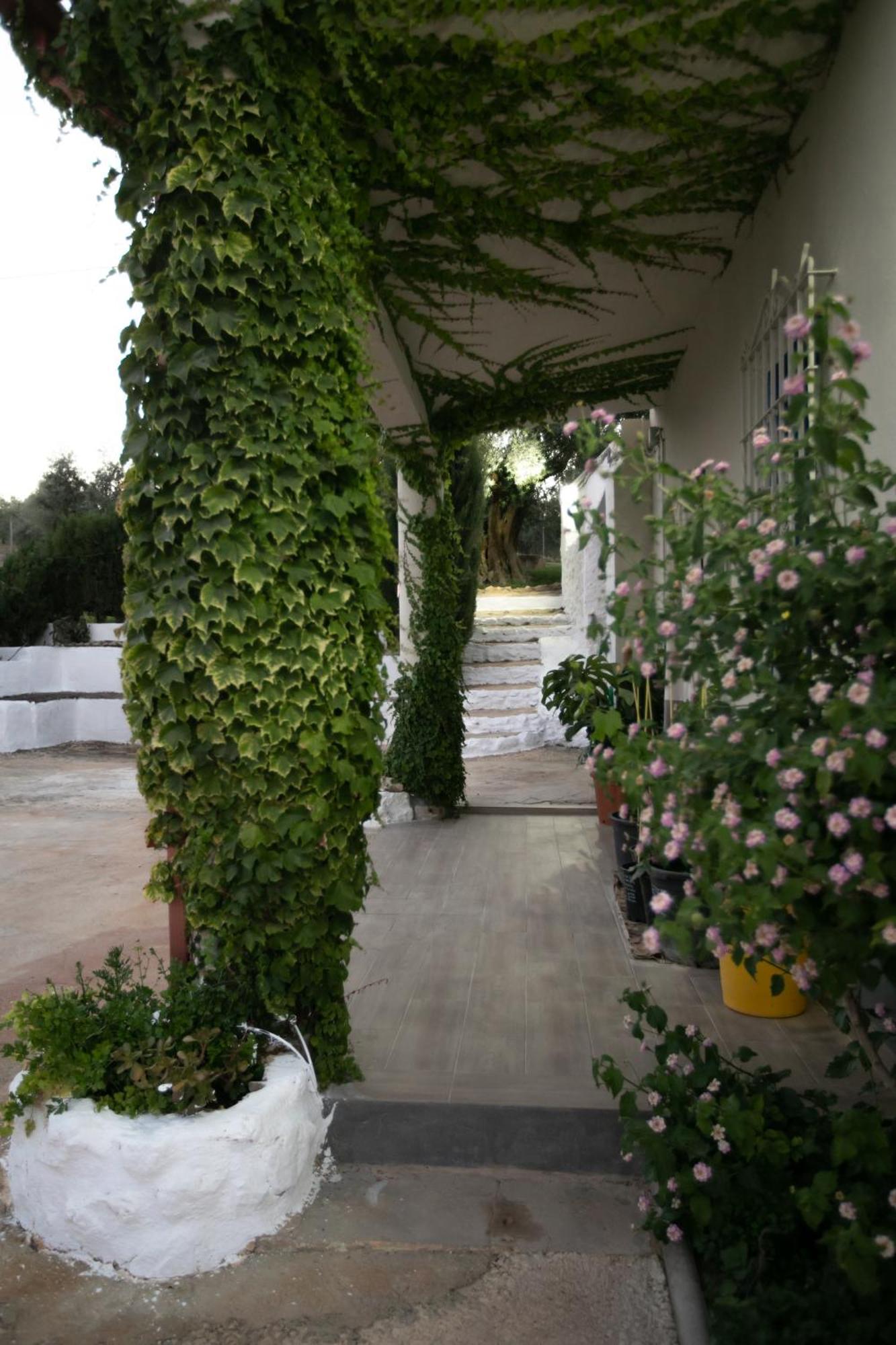 Cortijo Botanico El Cerro Βίλα Cabra Δωμάτιο φωτογραφία